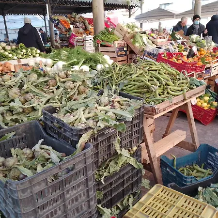 Malvasia And Brindisi