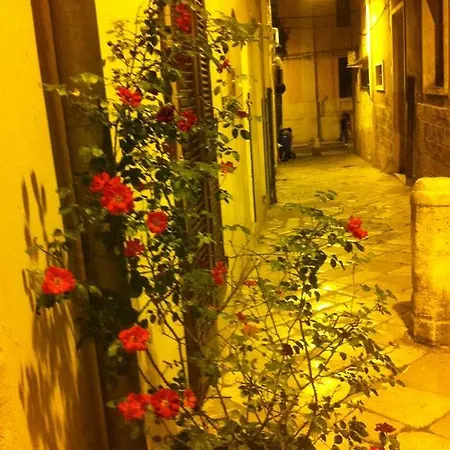Malvasia And